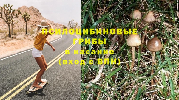 мескалин Баксан