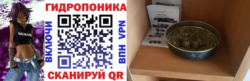 Бошки марихуана Amnesia Макарьев